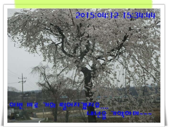 �ٹ̱�_IMG_0902.JPG