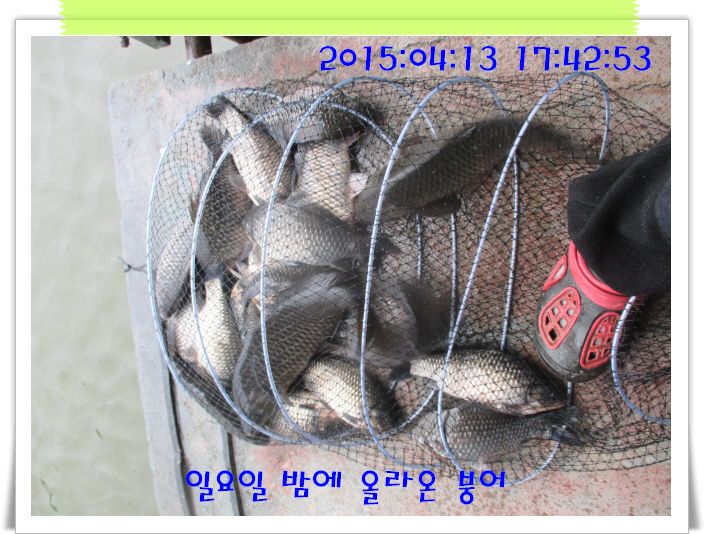 �ٹ̱�_IMG_0916.JPG
