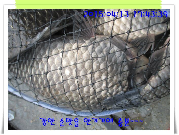 �ٹ̱�_IMG_0923.JPG