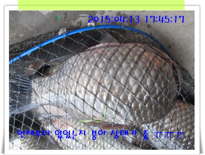 �ٹ̱�_IMG_0925.JPG