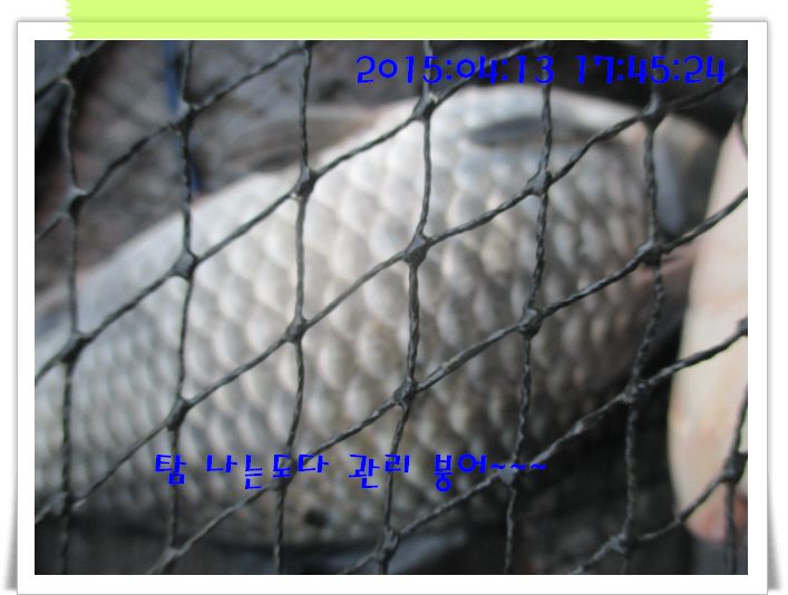 �ٹ̱�_IMG_0927.JPG