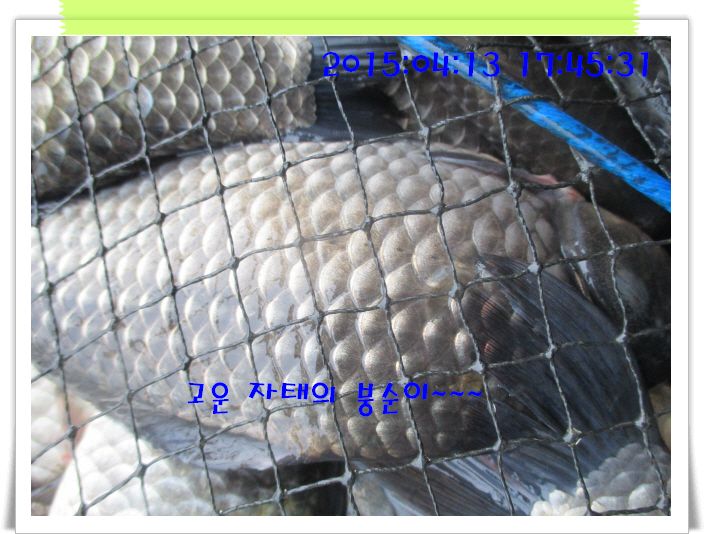 �ٹ̱�_IMG_0929.JPG