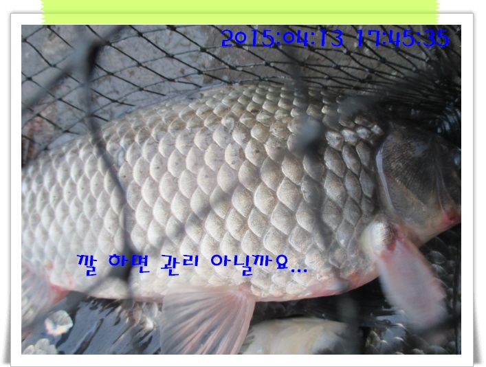 �ٹ̱�_IMG_0930.JPG
