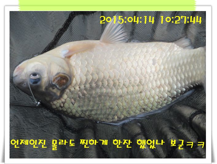 �ٹ̱�_IMG_0933.JPG