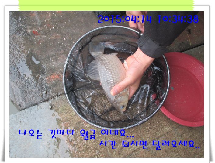 �ٹ̱�_IMG_0934.JPG