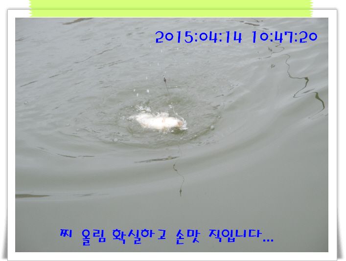 �ٹ̱�_IMG_0937.JPG