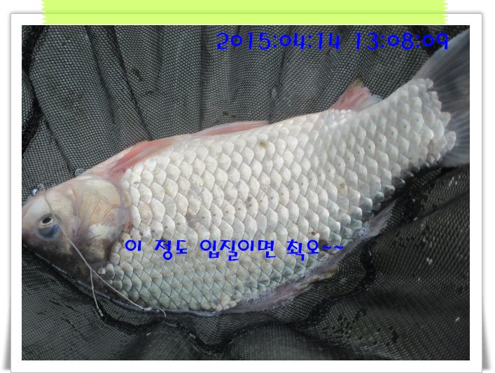�ٹ̱�_IMG_0941.JPG
