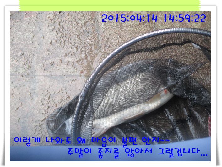 �ٹ̱�_IMG_0947.JPG