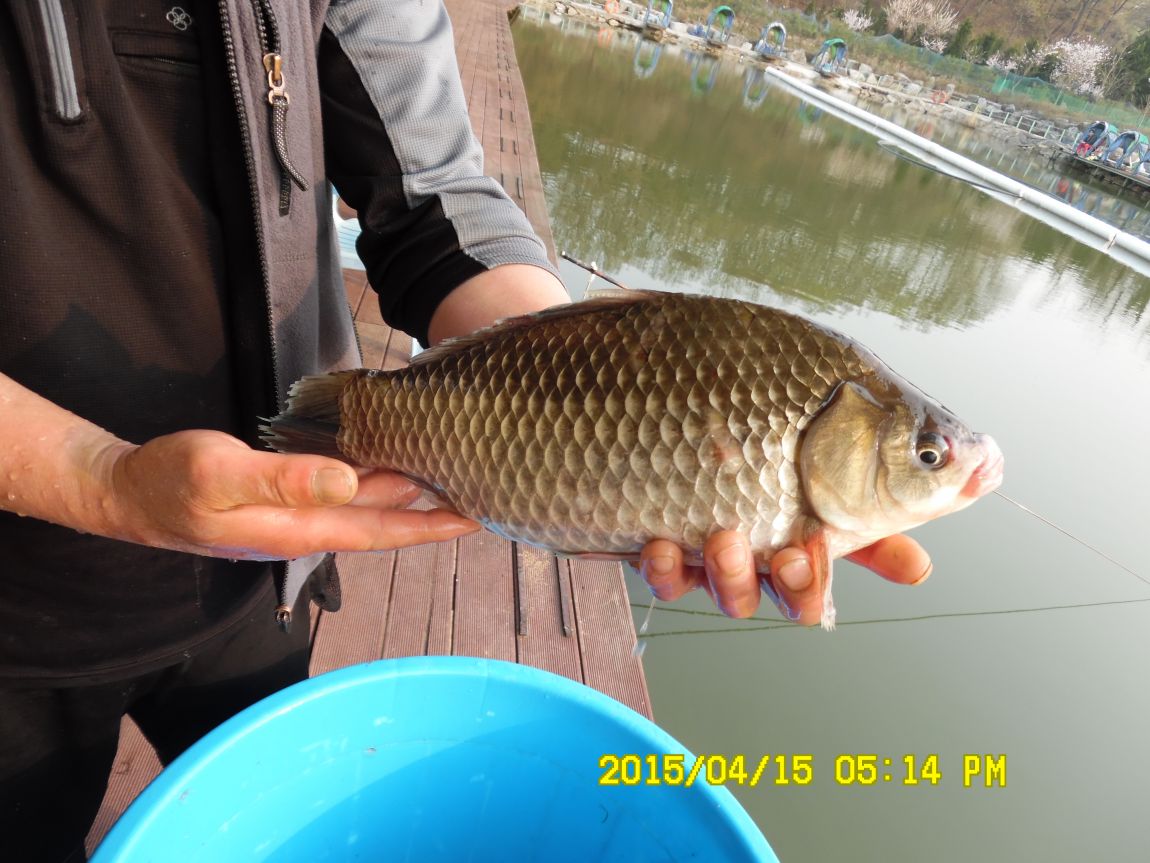 4��15�� 009.JPG