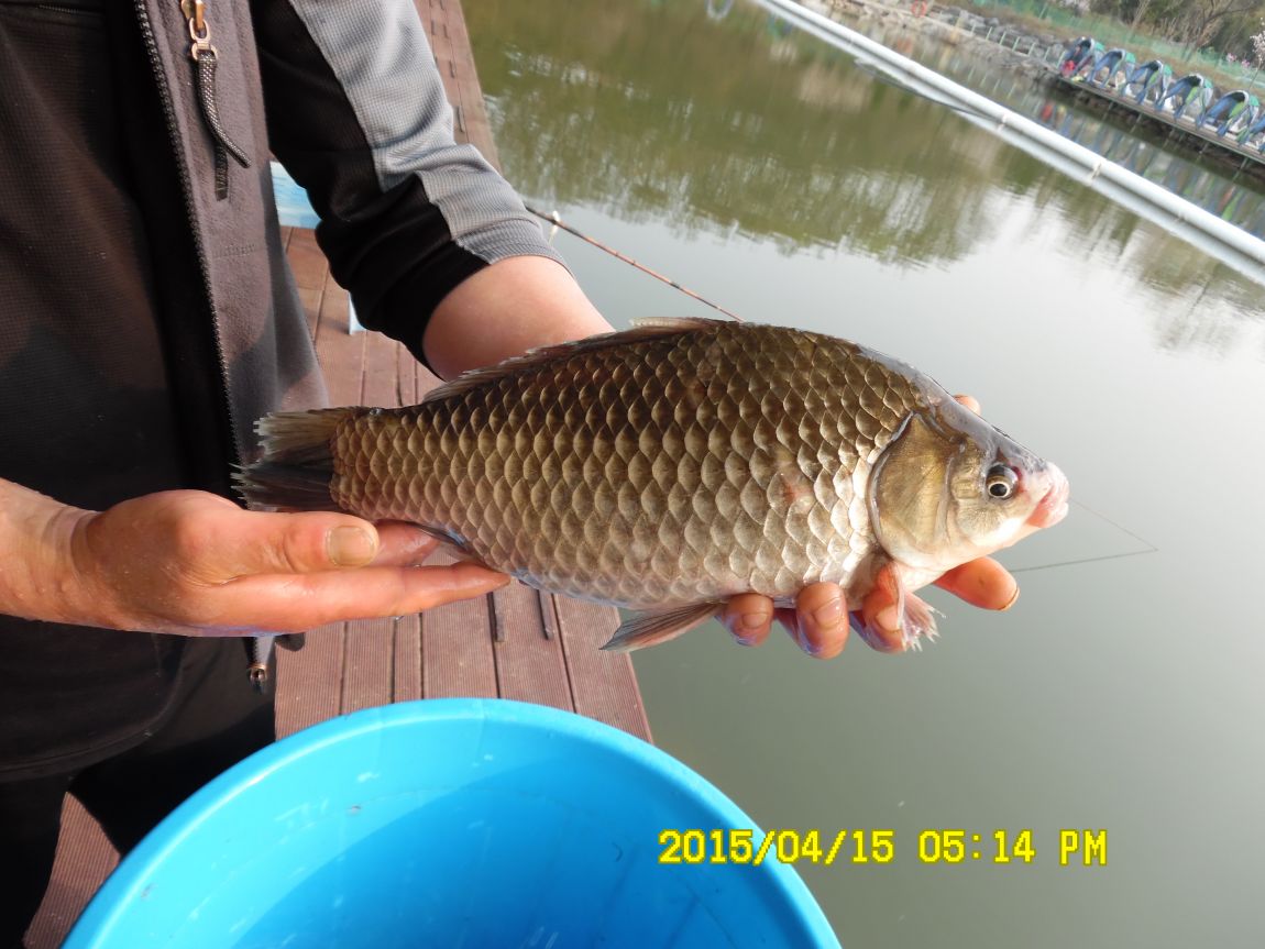 4��15�� 010.JPG
