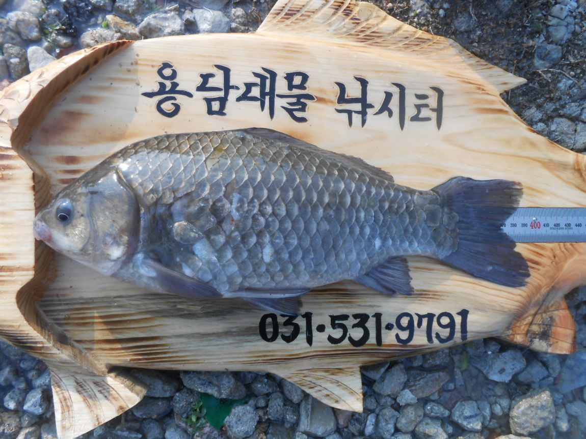 DSCN3276 - ���纻.JPG
