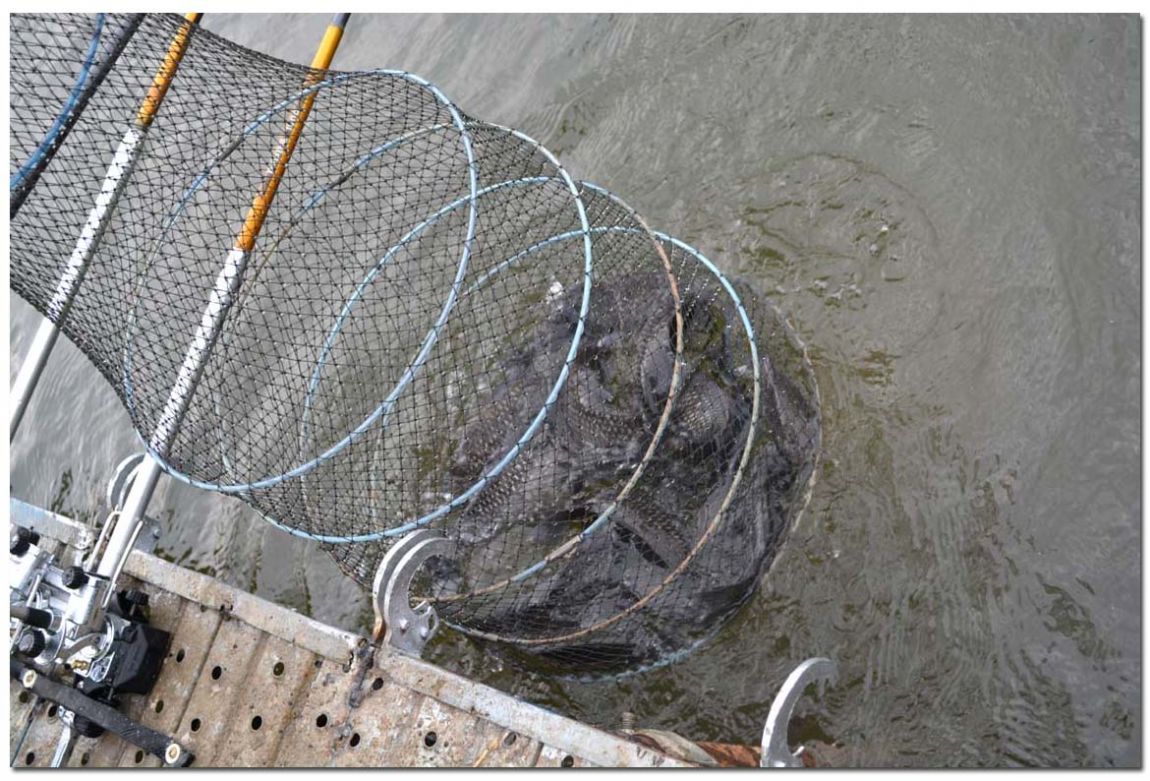 Untitled-1 copy 6.jpg