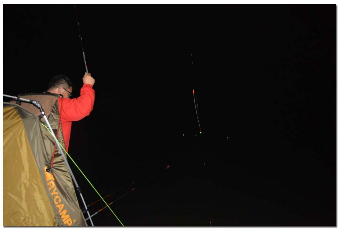 Untitled-1 copy 7.jpg