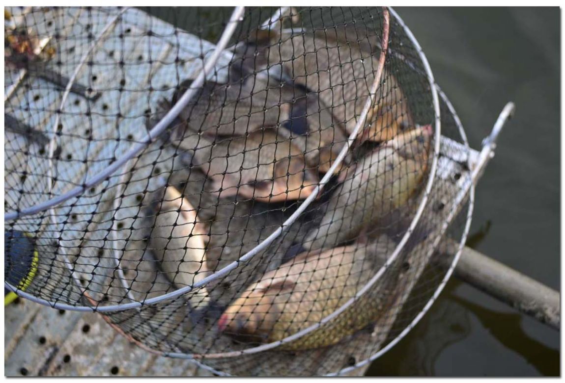 Untitled-1 copy 12.jpg