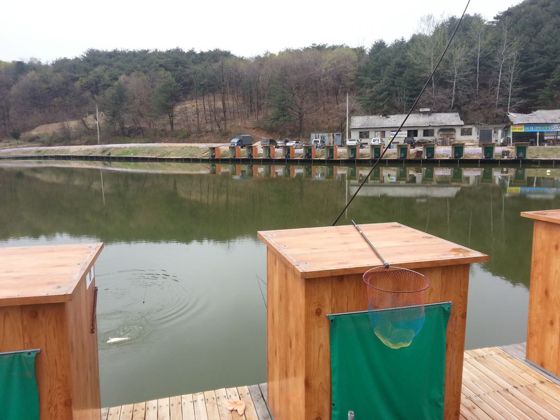 20150415_113154.jpg