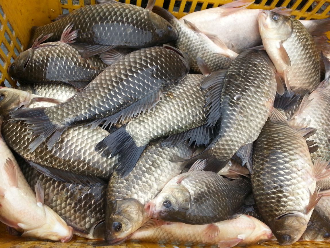 20150416_102729.jpg