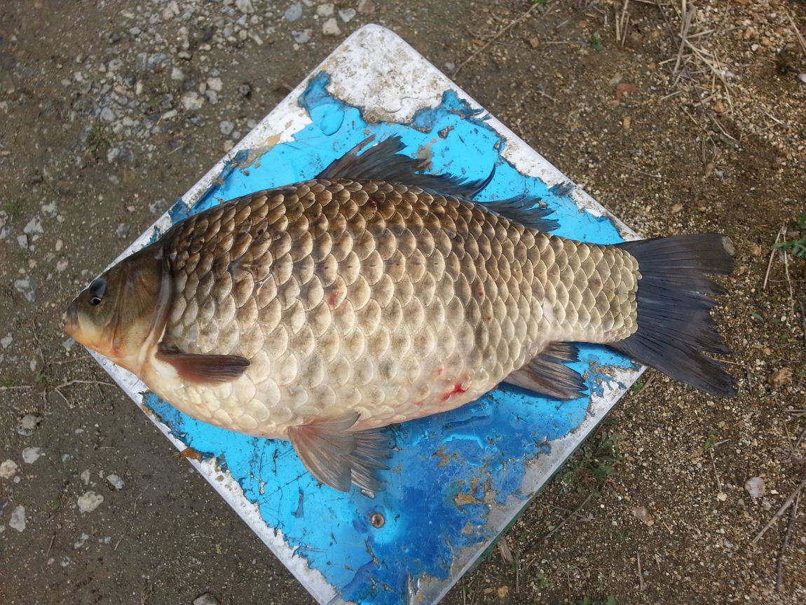 20150416_102953.jpg