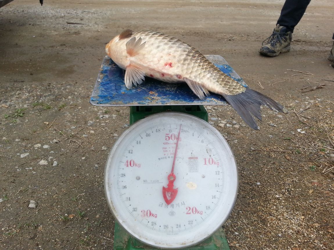 20150416_102948.jpg