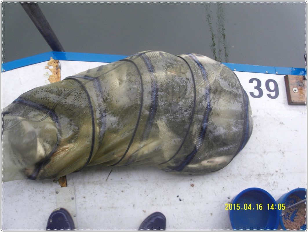 SDC10032.JPG