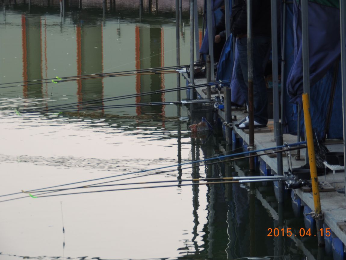 DSCN4449.JPG