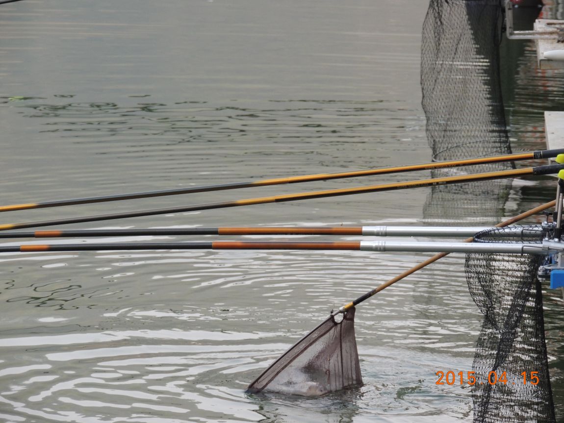 DSCN4451.JPG