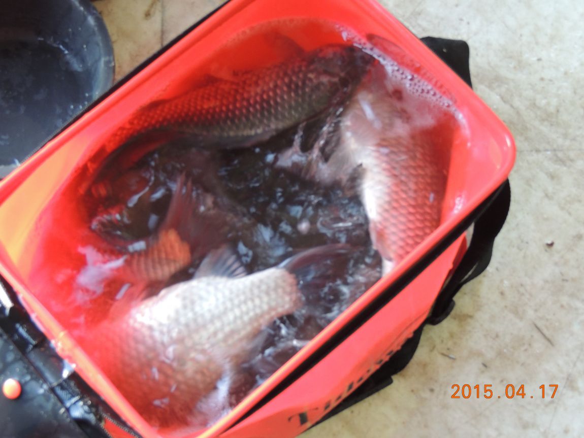 DSCN4487.JPG