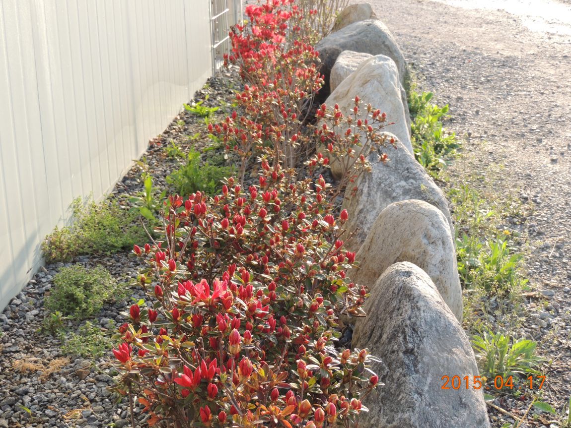 DSCN4504.JPG