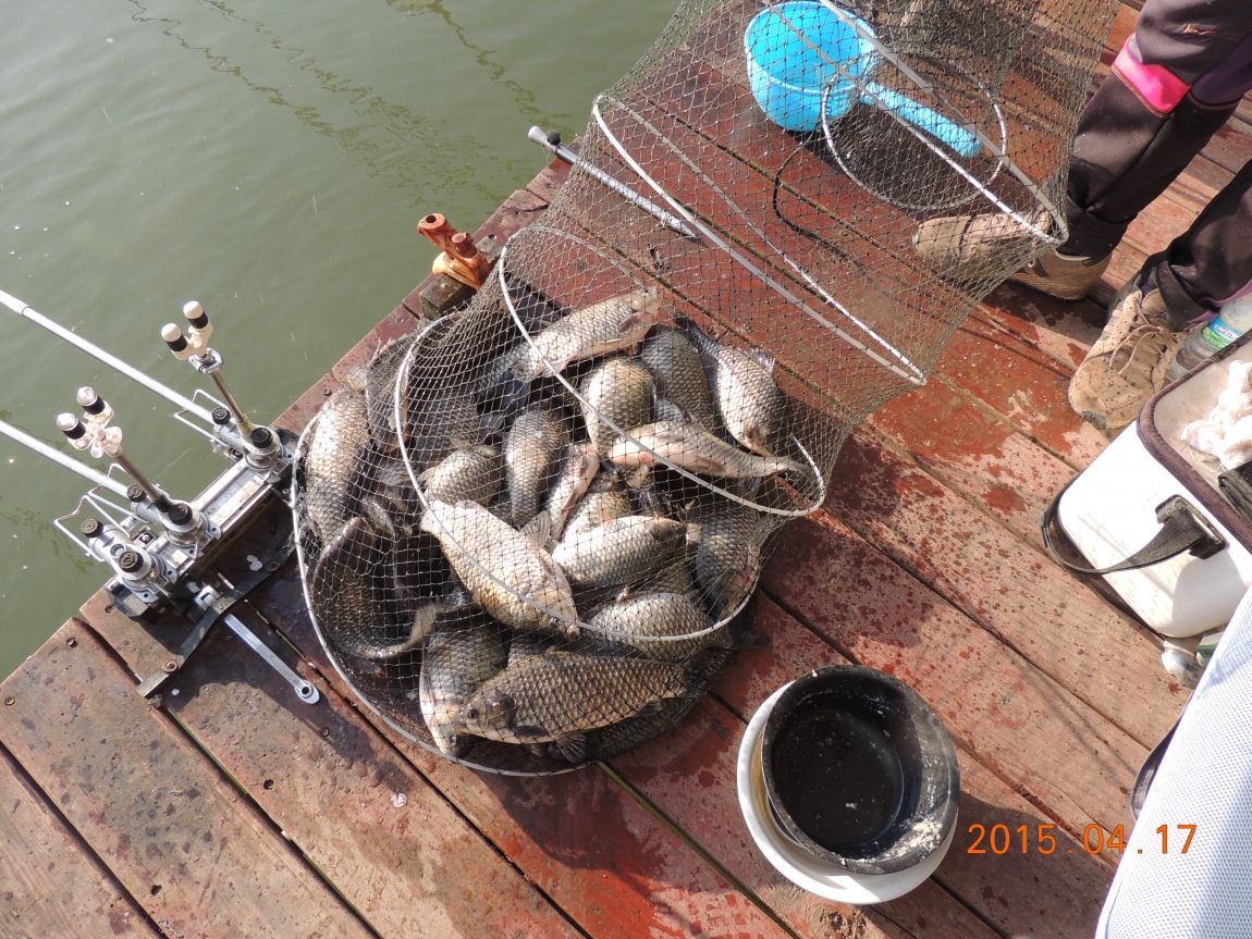 DSCN4510.JPG