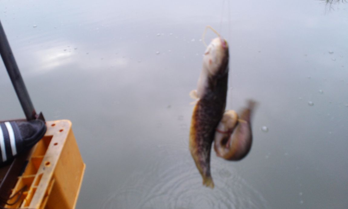 IMG_20150415_073613.jpg