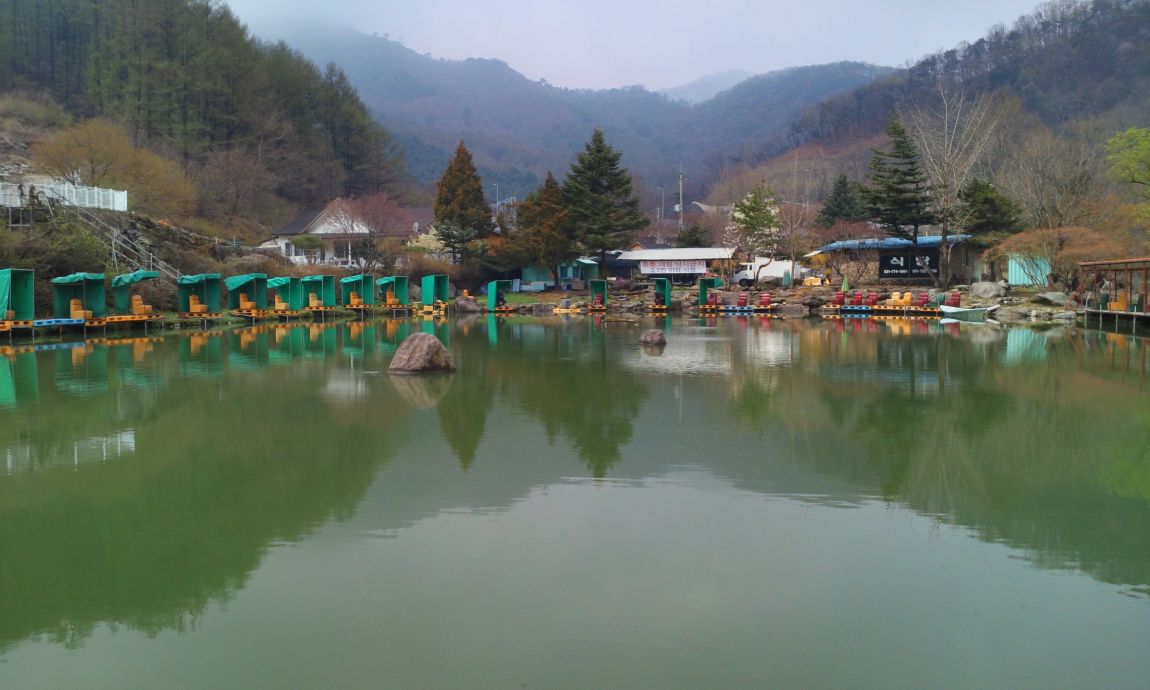 IMG_20150415_111635.jpg