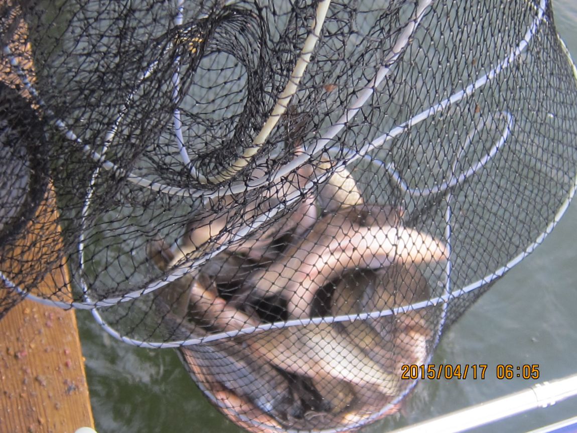 4�� 17�� 003.JPG