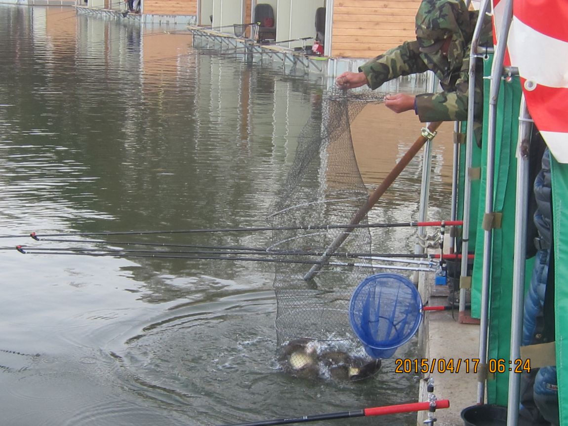 4�� 17�� 006.JPG