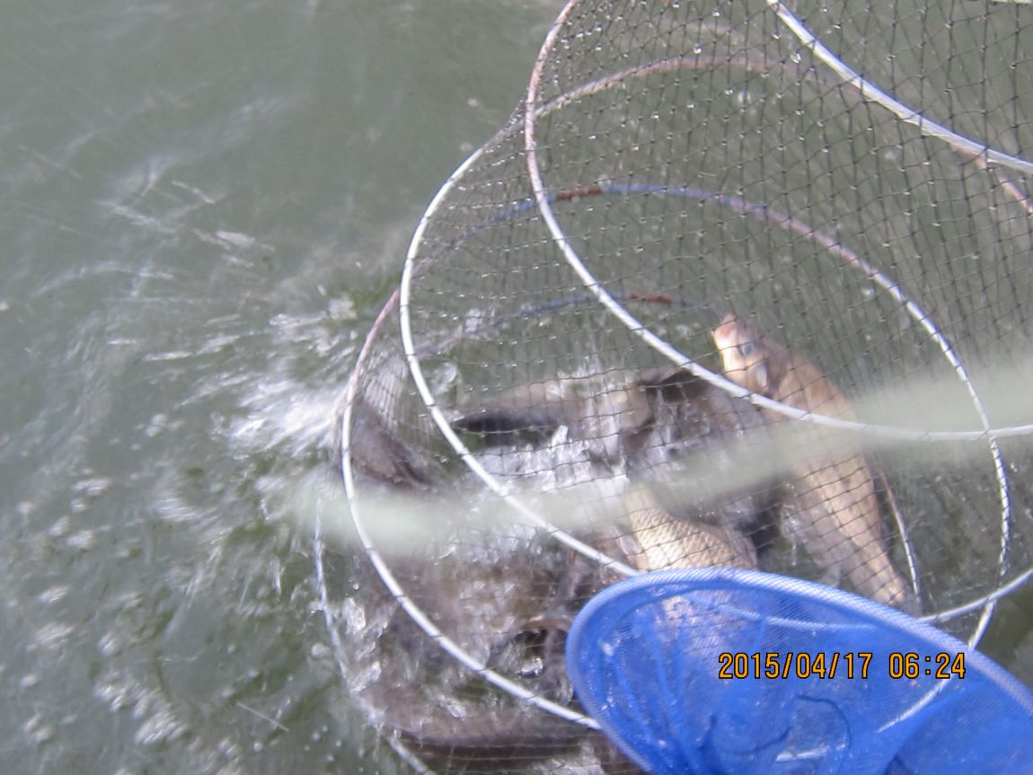 4�� 17�� 007.JPG