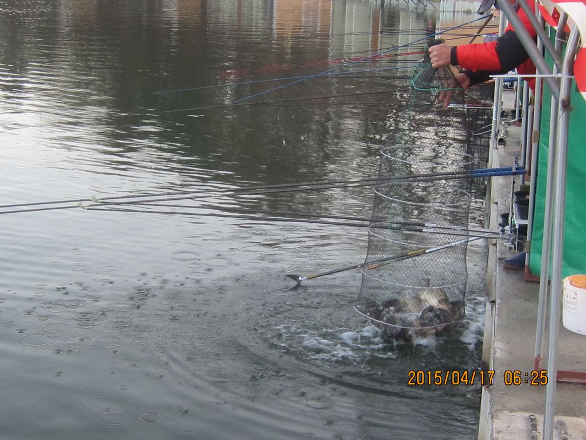 4�� 17�� 008.JPG