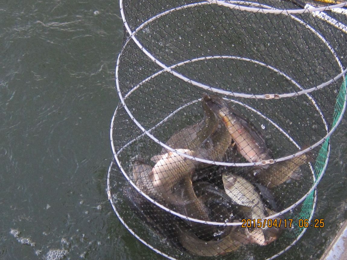 4�� 17�� 009.JPG