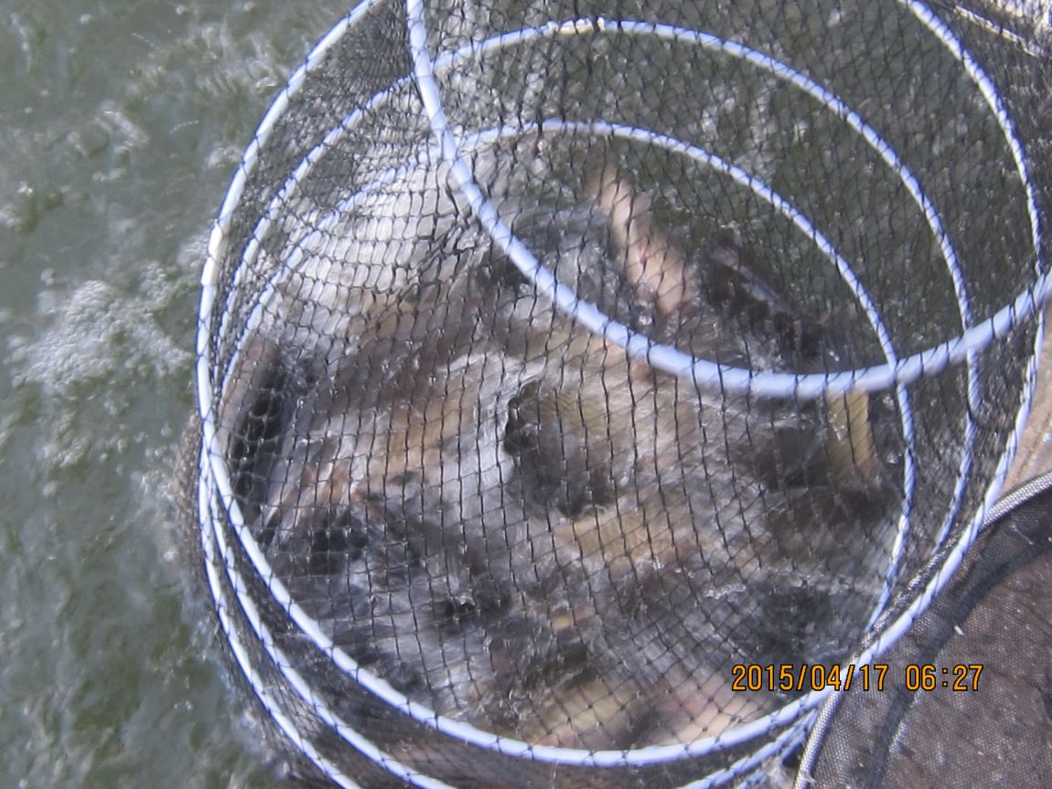 4�� 17�� 011.JPG