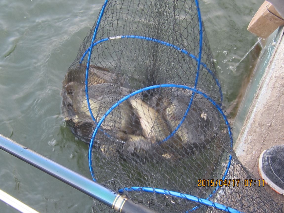 4�� 17�� 014.JPG