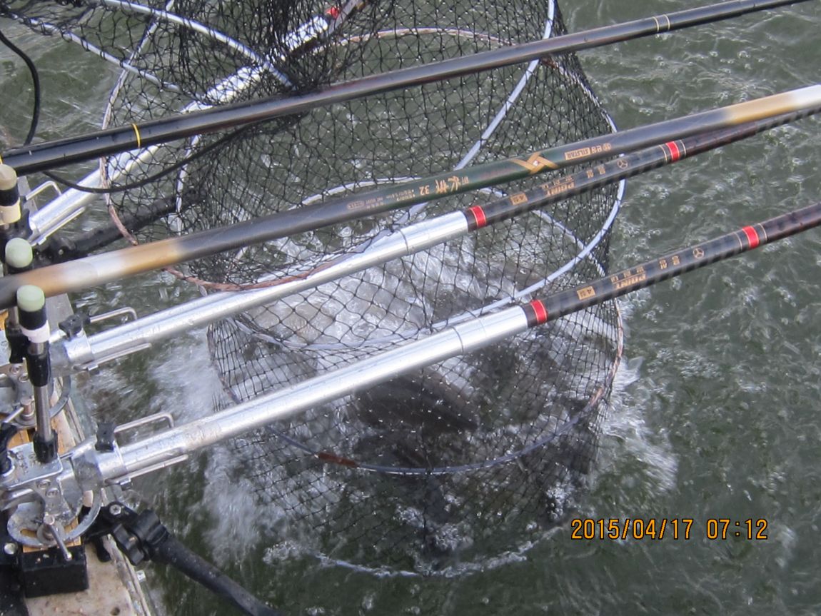 4�� 17�� 016.JPG