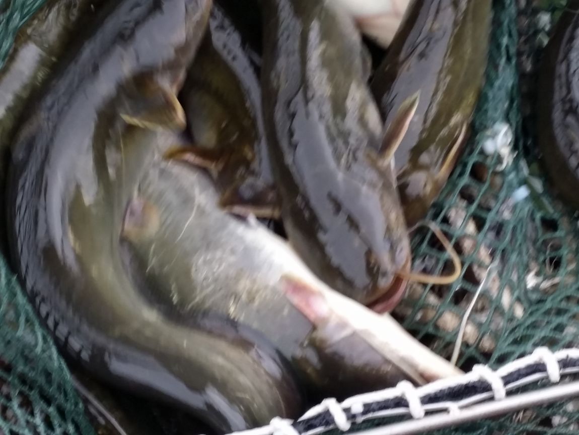 20150407_164442.jpg