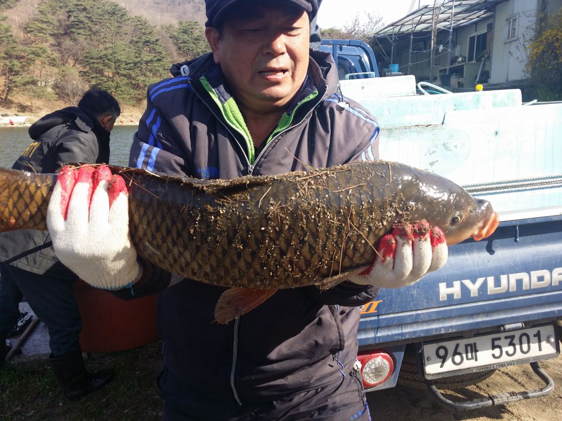 20150418_084929.jpg