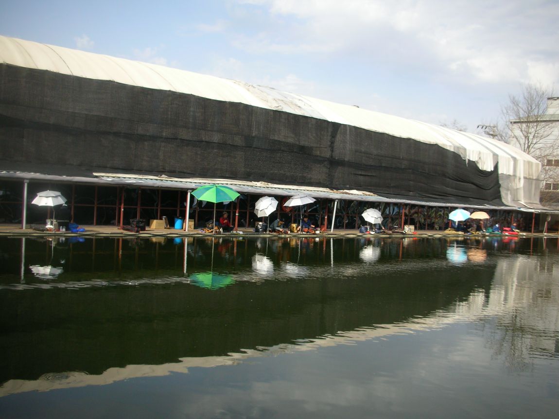 DSCN3678.JPG