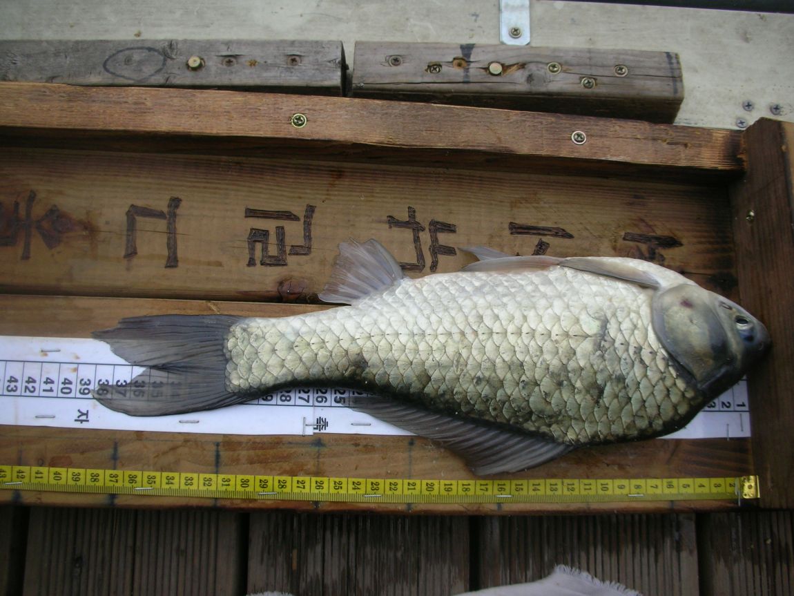 DSCN3682.JPG