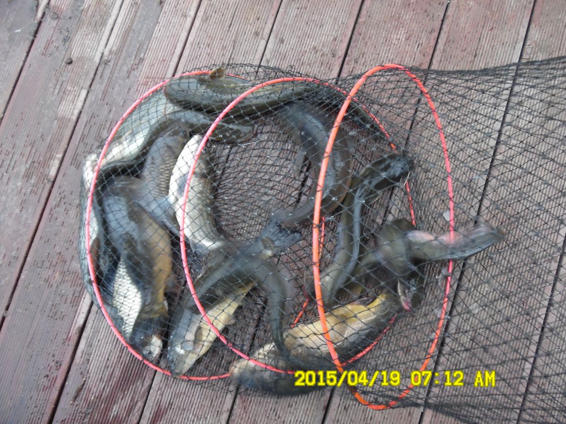 4��19�� 025.JPG