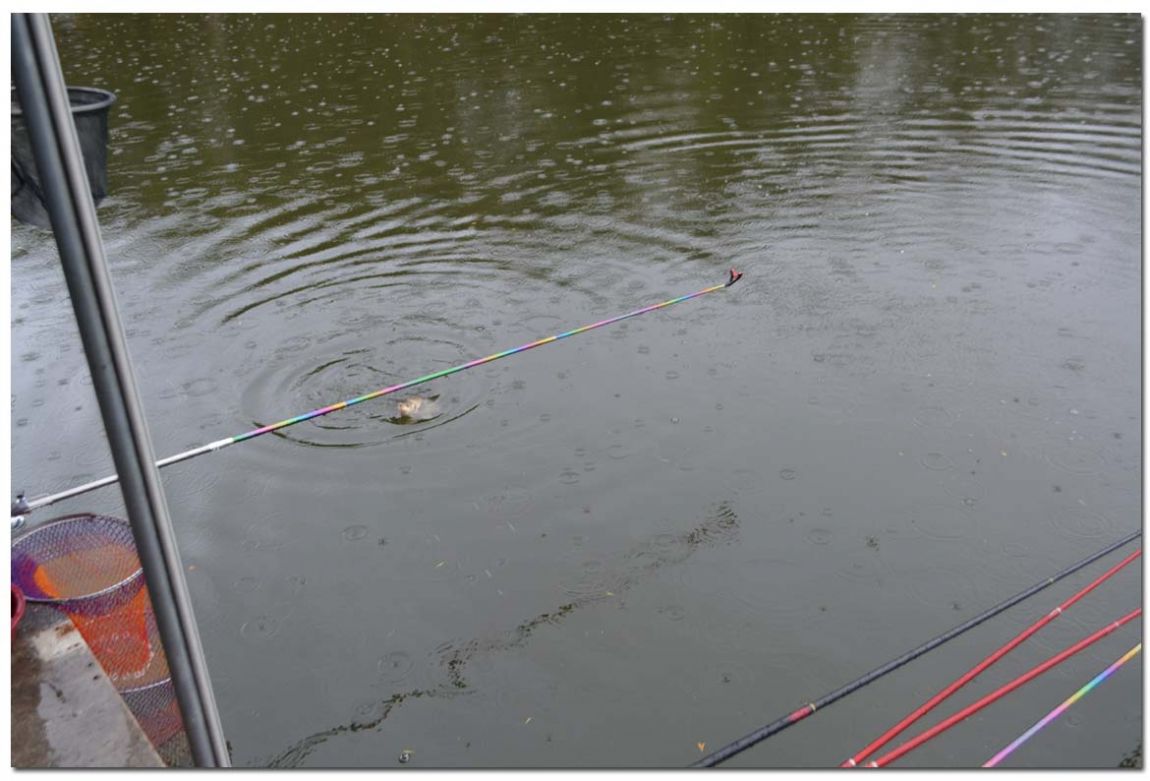 Untitled-1 copy 3.jpg