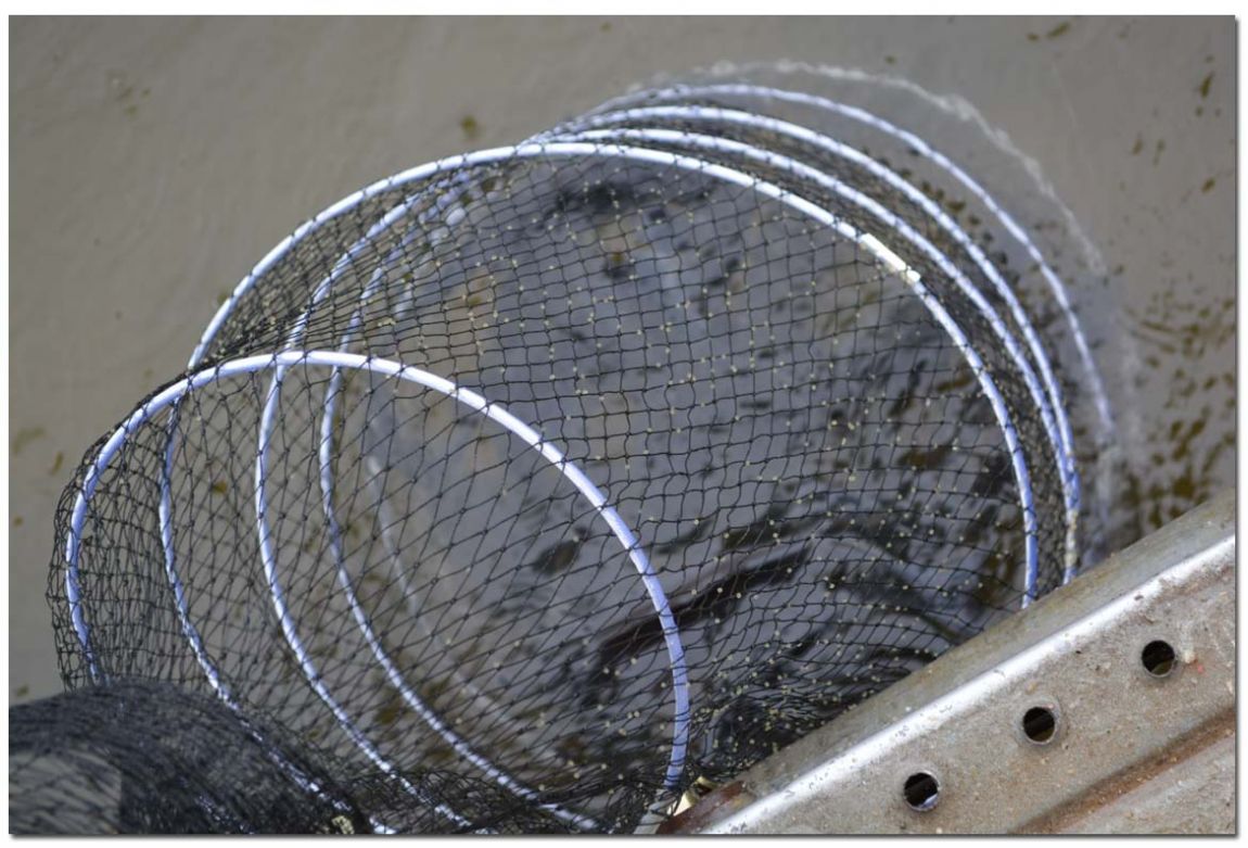 Untitled-1 copy 5.jpg