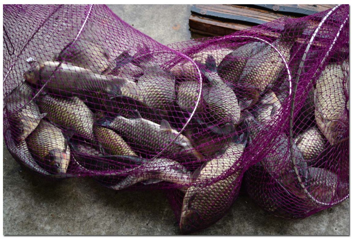 Untitled-1 copy 6.jpg