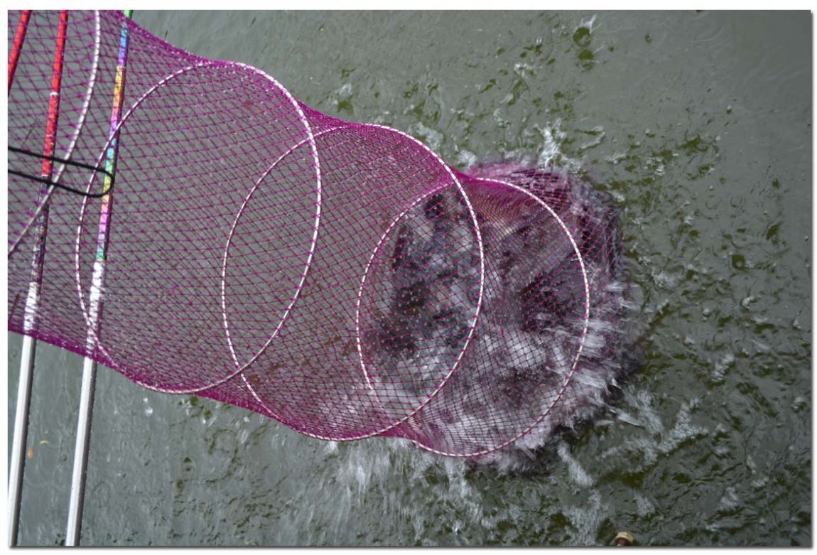 Untitled-5 copy 3.jpg