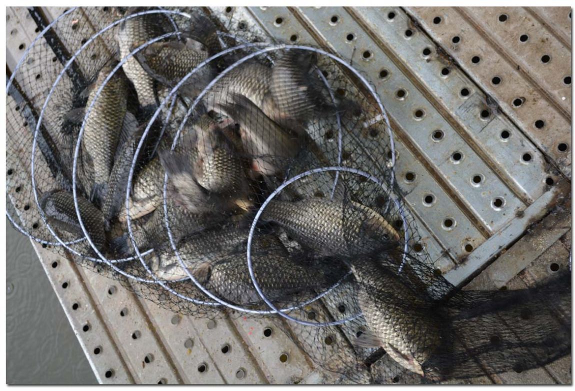 Untitled-1 copy.jpg 1.jpg