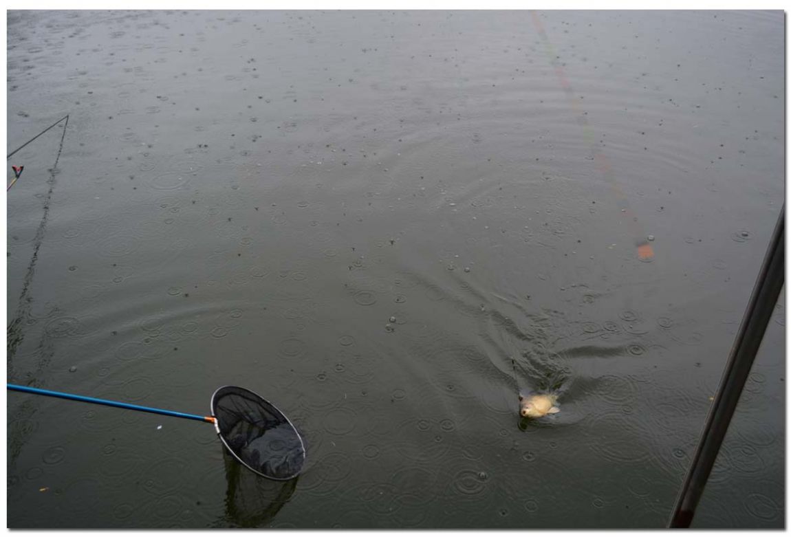 Untitled-12 copy.jpg