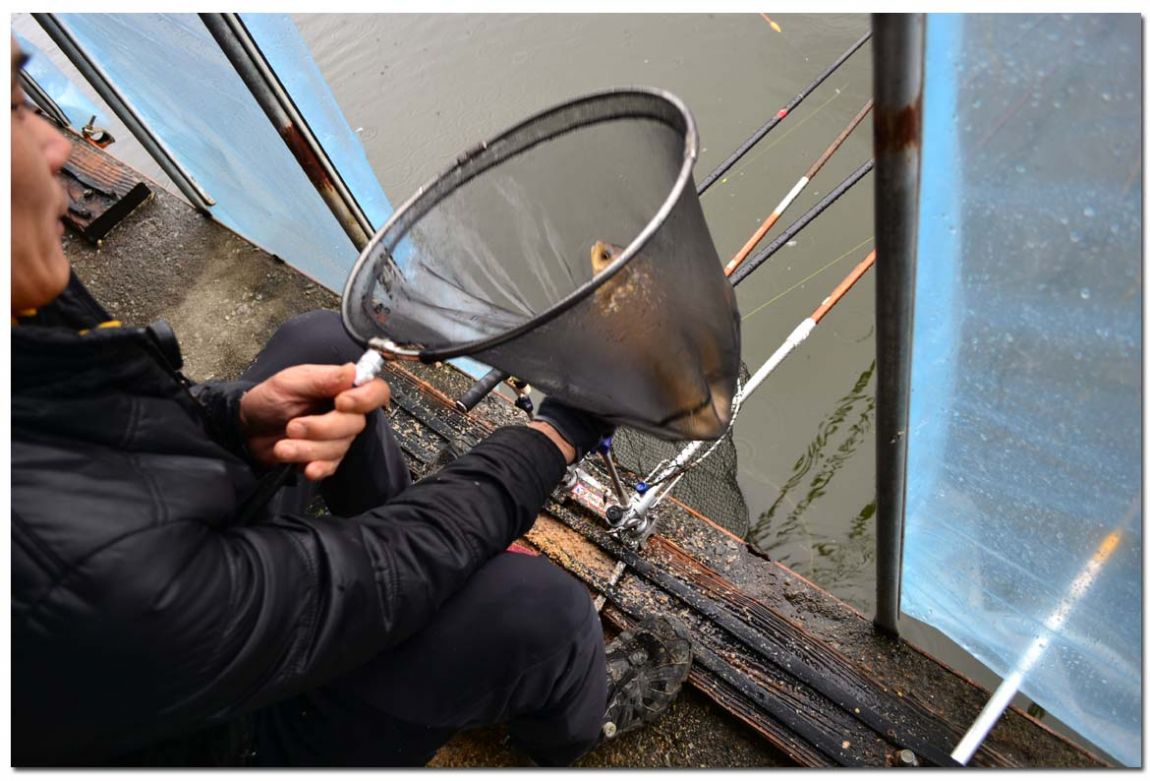 Untitled-13 copy.jpg